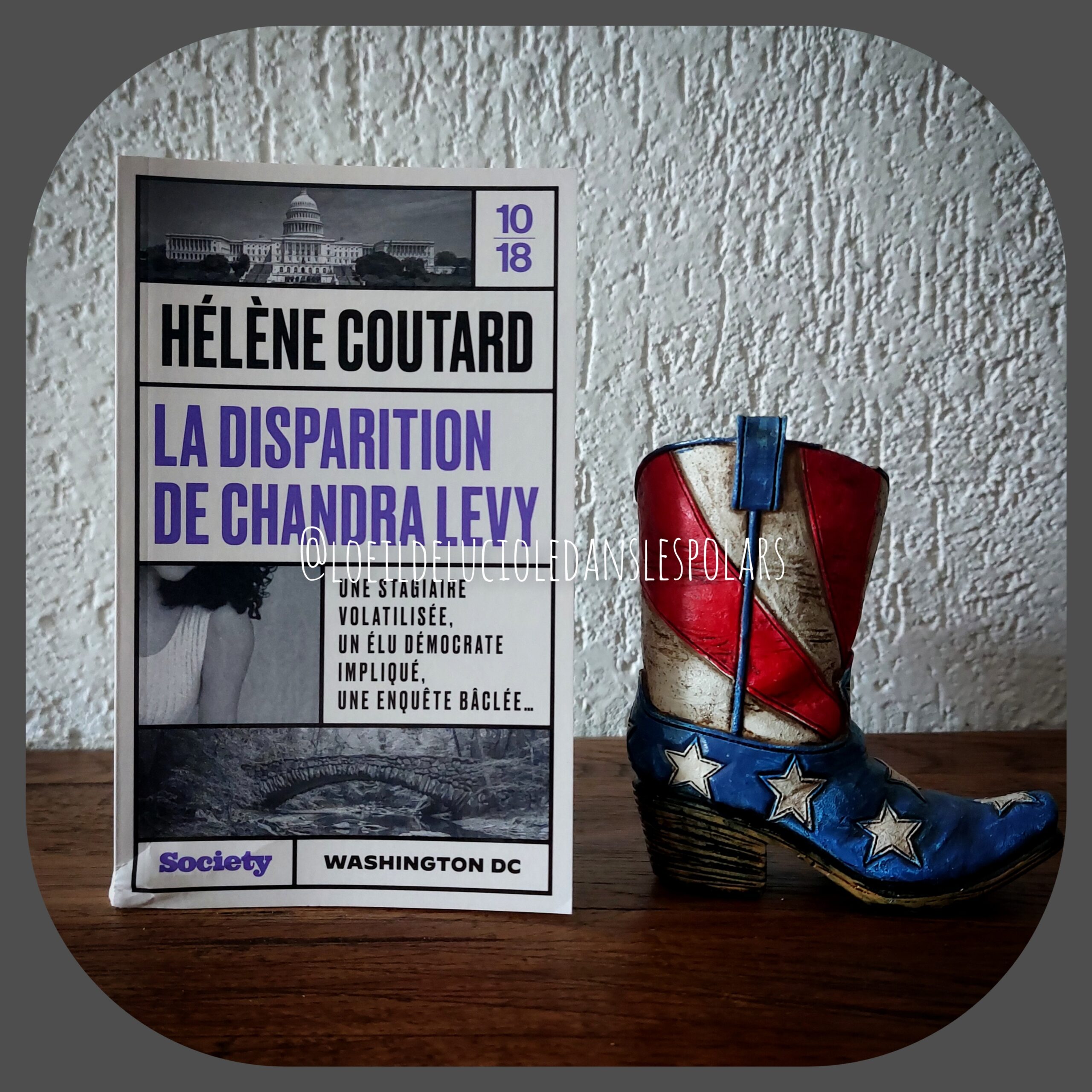 La disparition de Chandra Levy de Hélène Coutard